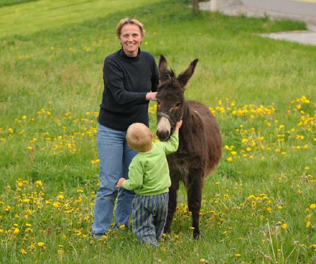 Deinerhof Leilighet Hauzenberg Eksteriør bilde